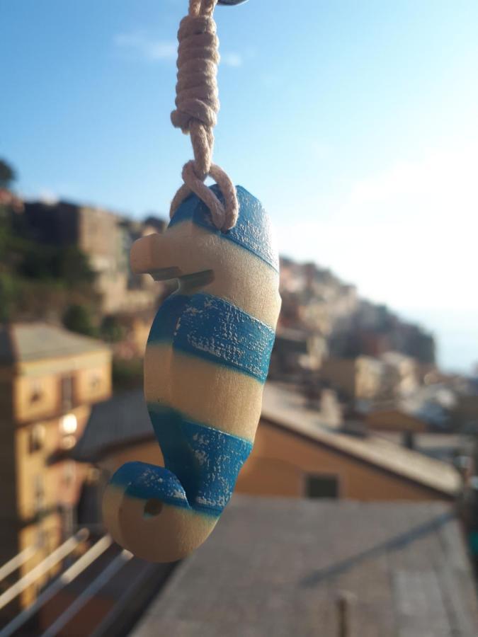 Il Cavalluccio Marino Manarola Dış mekan fotoğraf